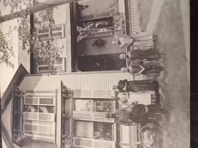 Summer of 1890, Battle Creek, MI- GG Rupert, Ruth Rupert, Lavinia Hyre Rupert, Mrs. Sarah Hyre, Lauretta Rupert, Lucile Rupert, and Josephine Rupert. 